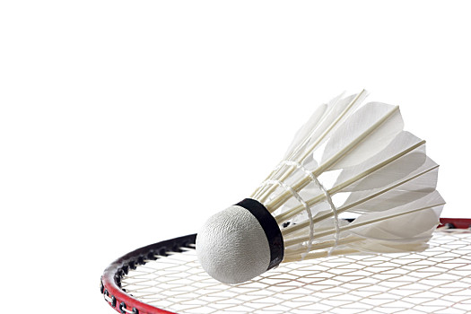 影响了塞爾 影响了塞爾