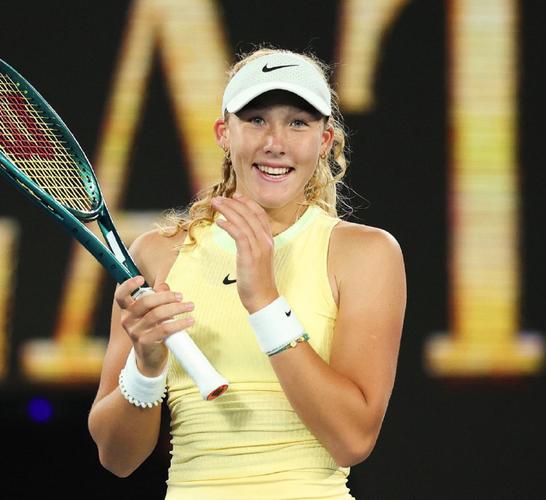 引入高效3 引入高效3