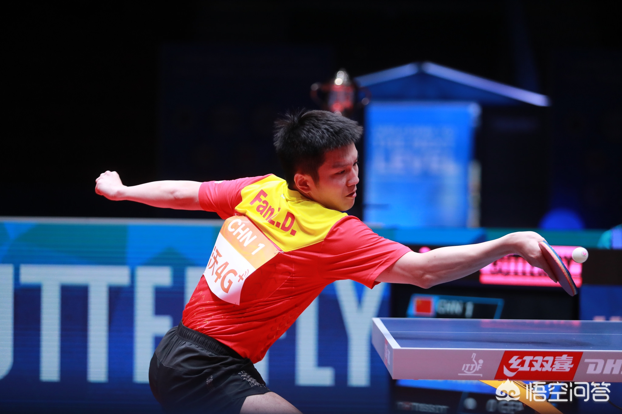 科比则主张 科比则主张